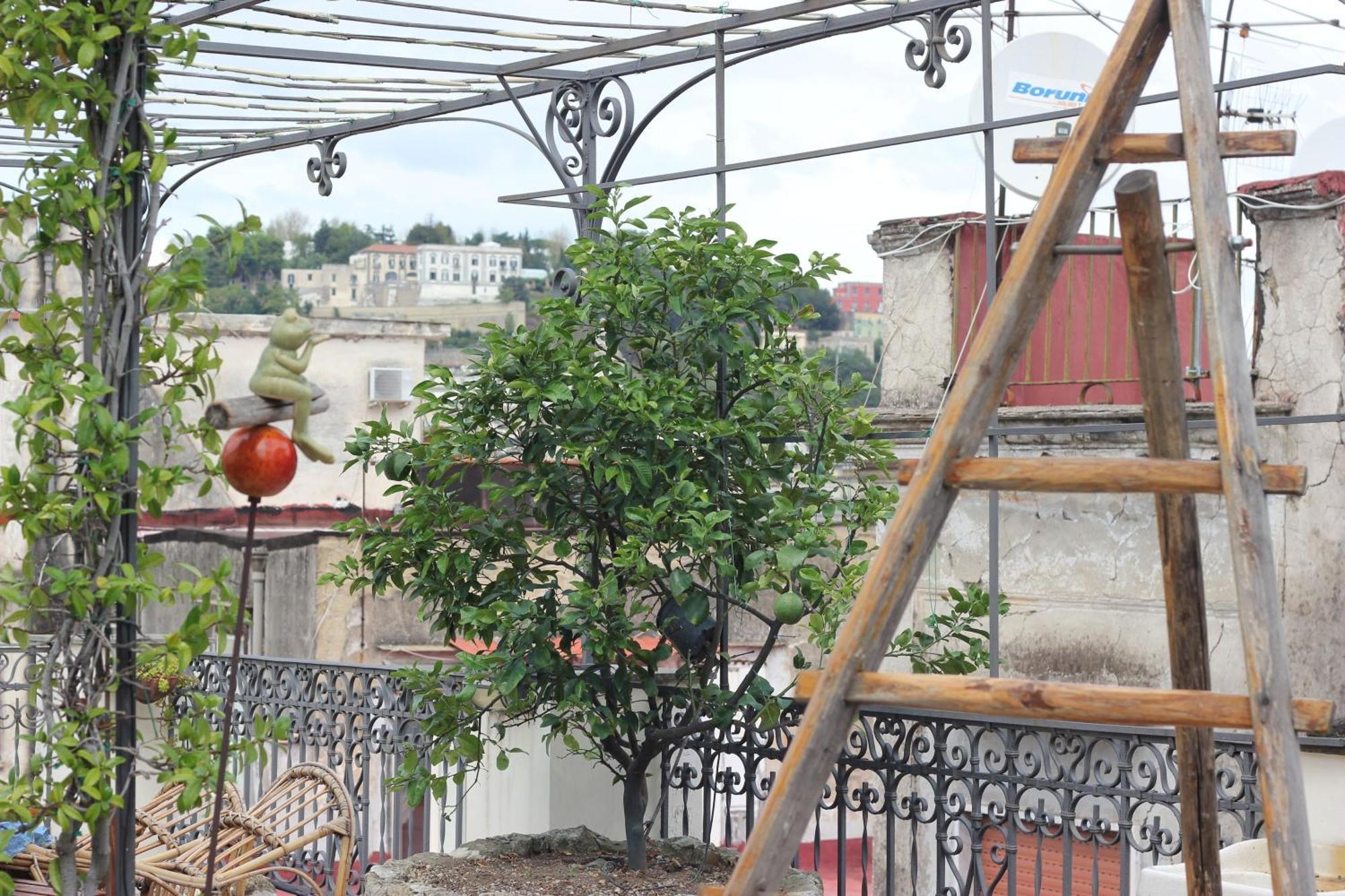 Lemon Tree Terrace Leilighet Napoli Eksteriør bilde